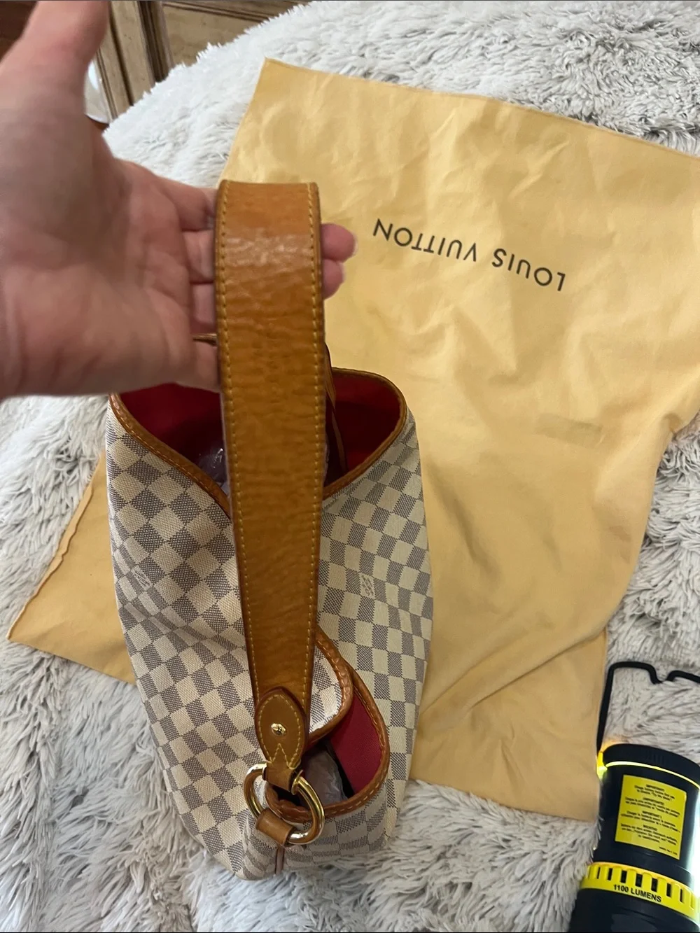 Louis Vuitton classic louis